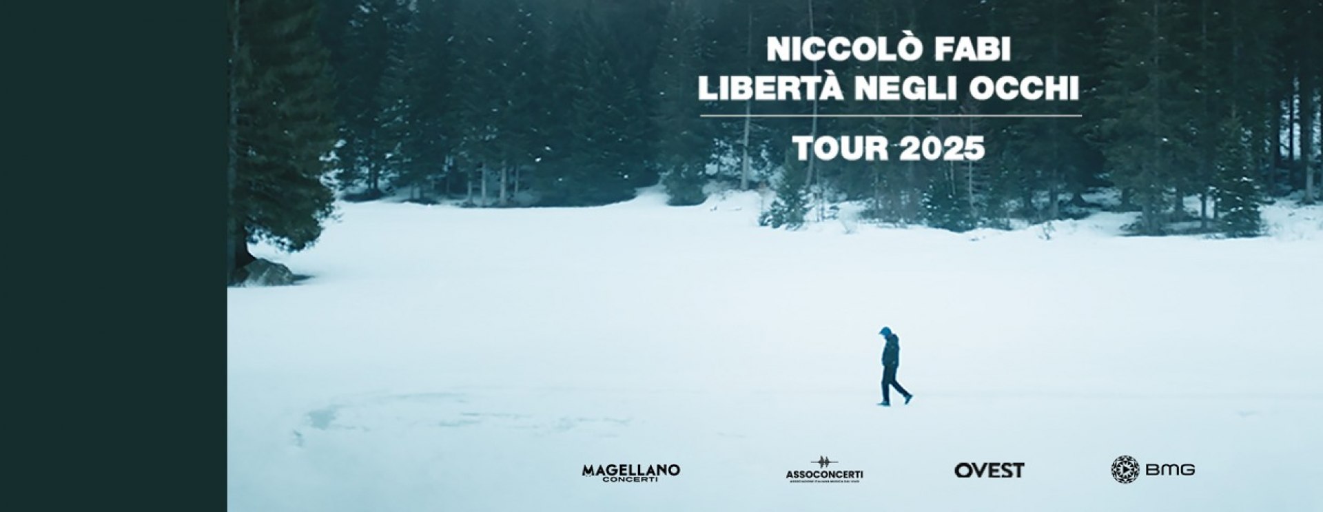 Niccolò Fabi