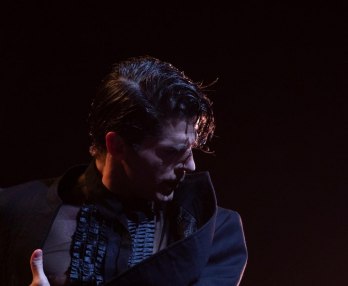 The Stars, Flamenco Gala, Spanish Dance