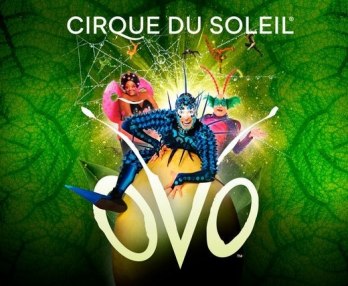 Cirque du Soleil, OVO