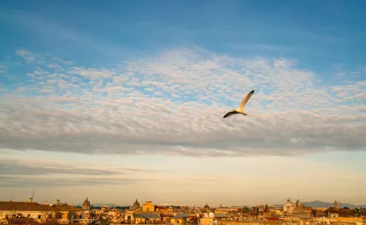 Vista Trastevere Рооф-бар и ресторан