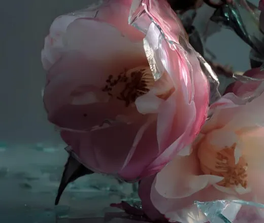 椿姫